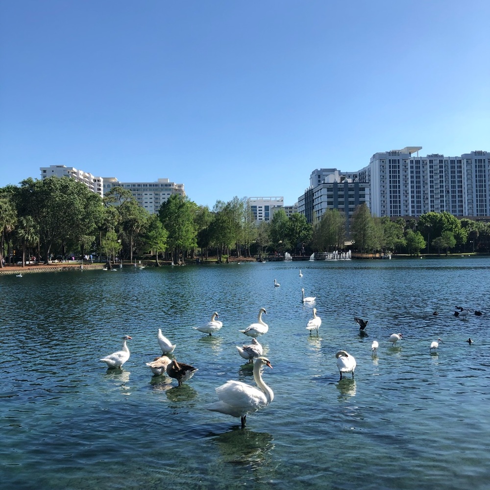 Meet your Posher, Miguel